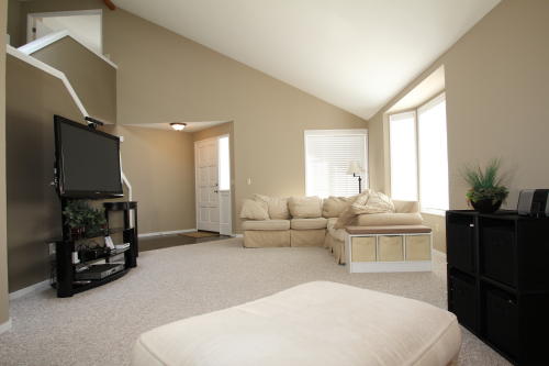 Lower level fireplace